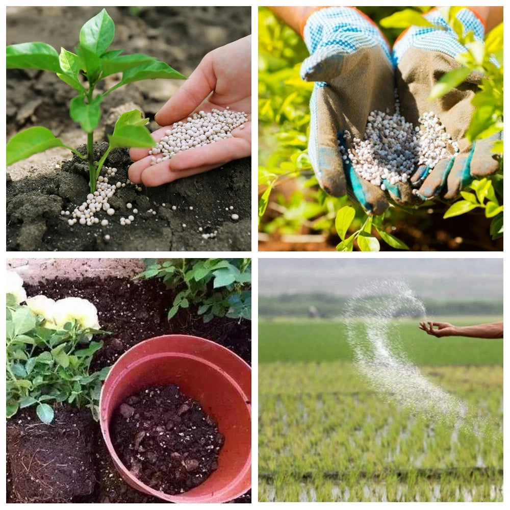 10g Complex Fertilizer NPK for Healthy Plant Growth | Hydro ATL