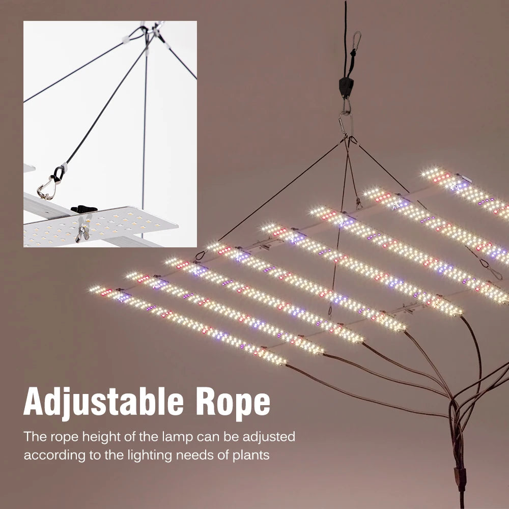 Led Grow Light Full Spectrum LM281B 100W 200W Growing Lamp with Dimmable Switch for Indoor Plants Greenhouse Seedling Hydroponic