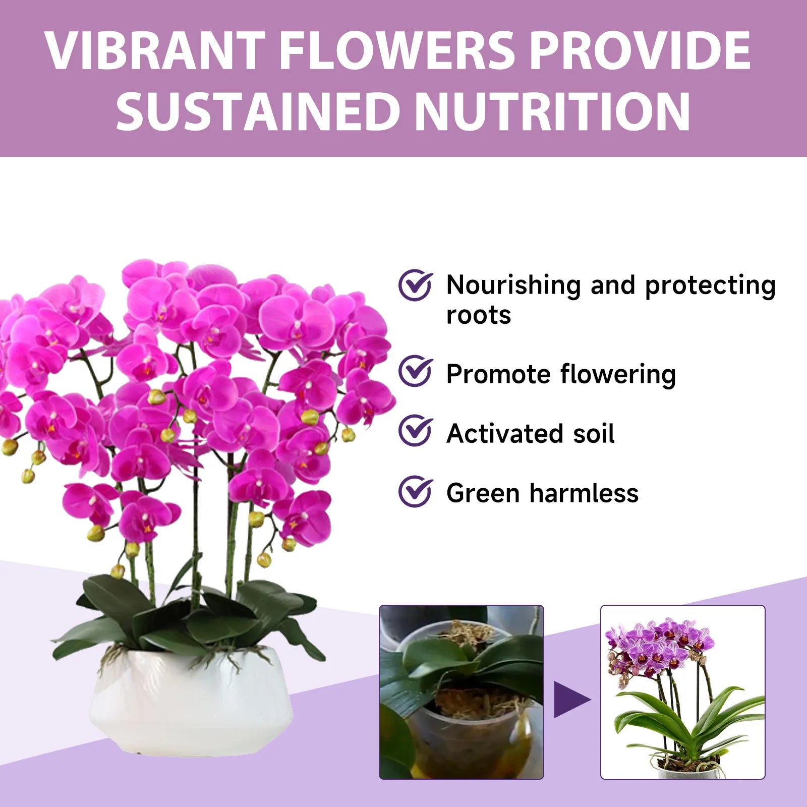 Orchid Fertilizer Spray for Leaf Nutrient & Bloom Boost | Hydro ATL