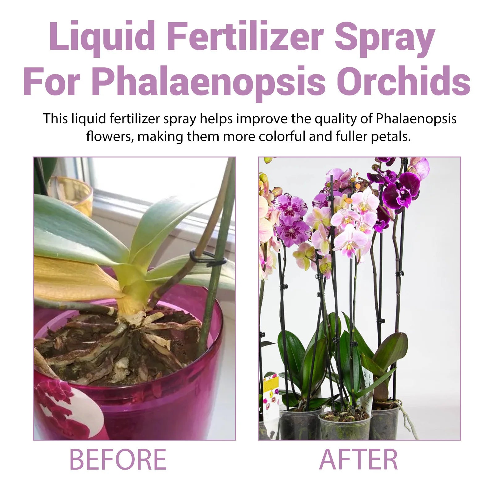 Orchid Fertilizer Spray for Leaf Nutrient & Bloom Boost | Hydro ATL