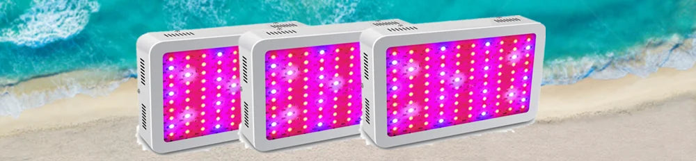 Growbox 2-in-1 600D Grow tent Complete kit Indoor