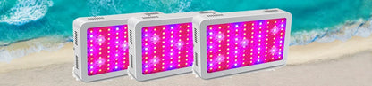 Growbox 2-in-1 600D Grow tent Complete kit Indoor