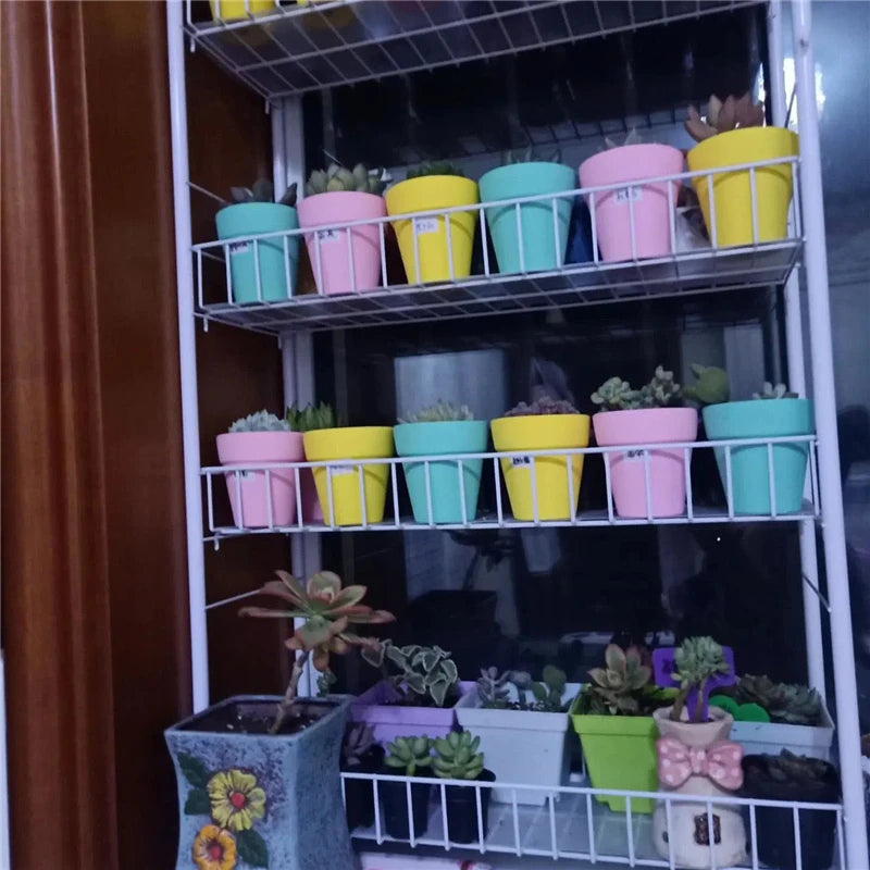 Multi Size Colorful Mini Terracotta Dirt Pot Set | Hydro ATL