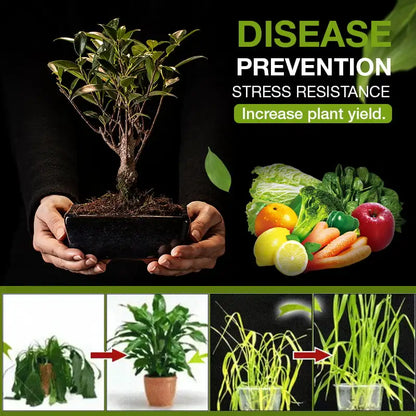 Soil Activated Fertilizer Potassium Fulvate for Plants | Hydro ATL