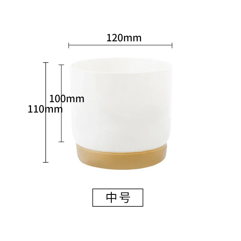 Small White Plastic Flower Dirt Pot for Plants | Hydro ATL