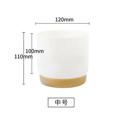 Small White Plastic Flower Dirt Pot for Plants | Hydro ATL
