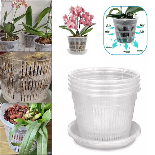 5pcs Orchid Dirt Pot With Saucers Plastic Drainage | Hydro ATL