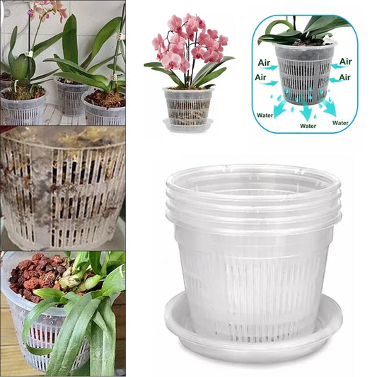 5pcs Orchid Dirt Pot With Saucers Plastic Drainage | Hydro ATL