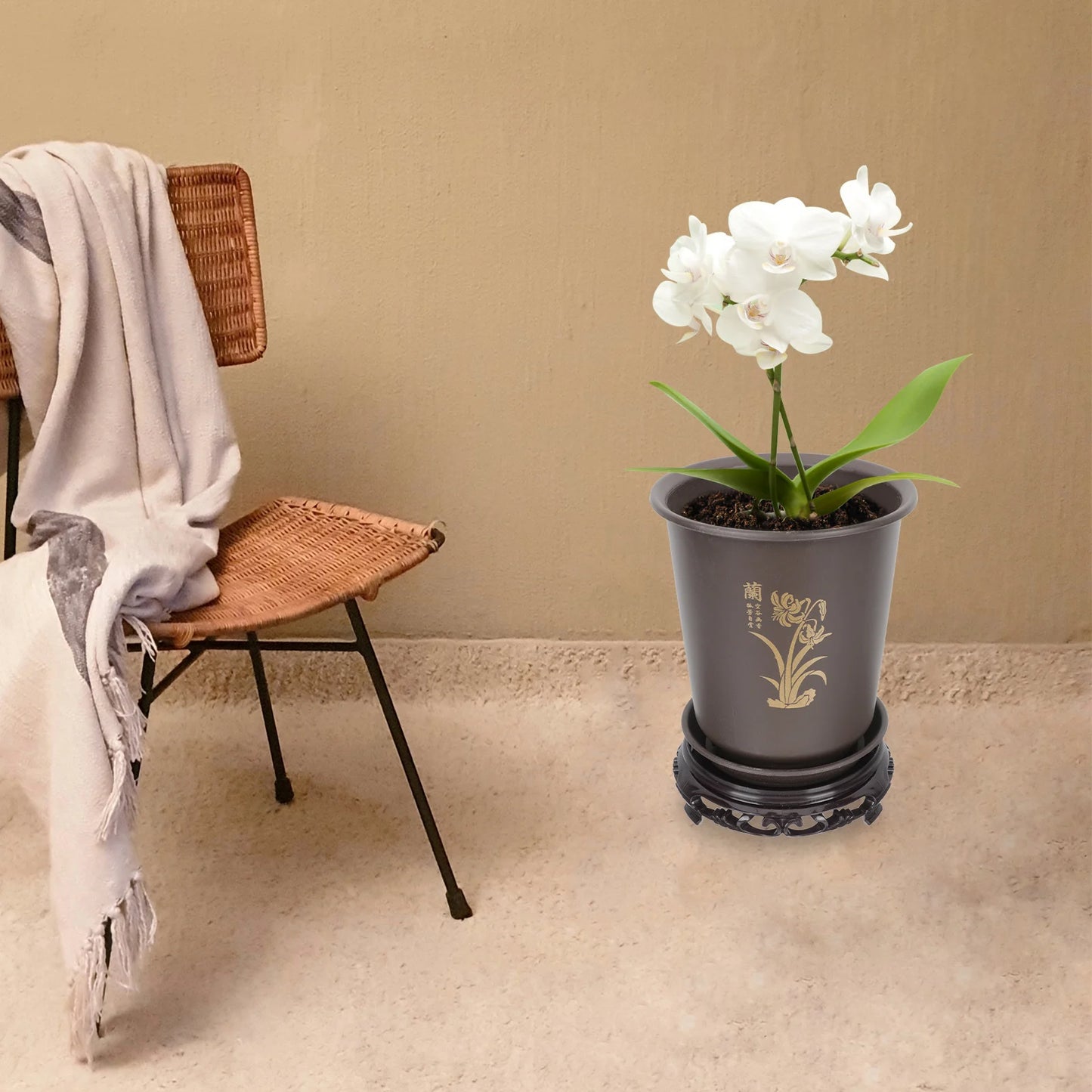 Orchid Special Pots Plastic with Drainage Holes | Hydro ATL