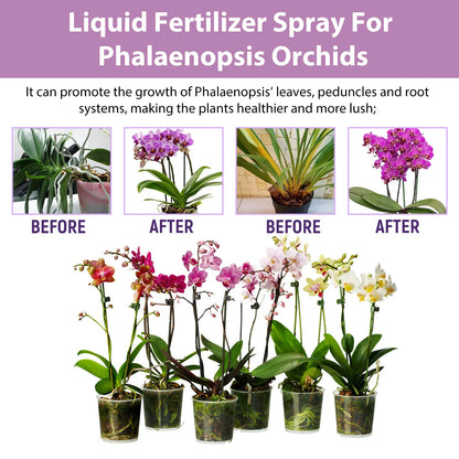 Orchid Fertilizer Spray Leaf Growth Nutrient