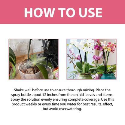 Orchid Fertilizer Spray Leaf Growth Nutrient
