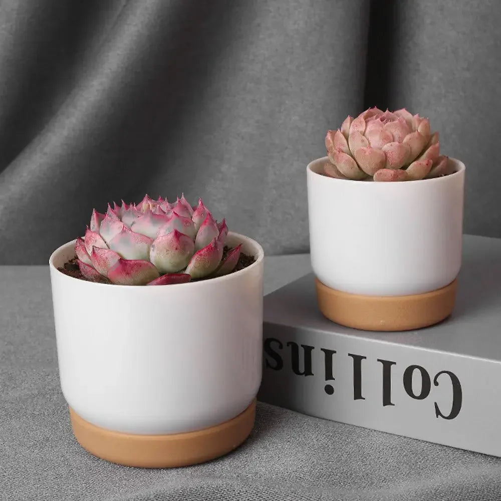 Small White Plastic Flower Dirt Pot for Plants | Hydro ATL