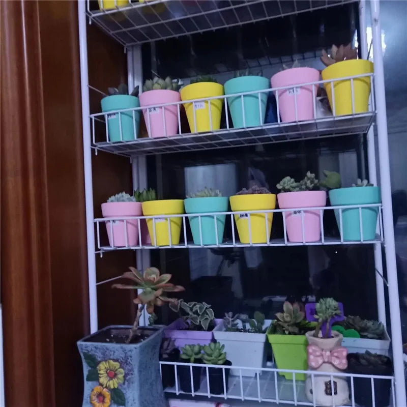 Multi Size Colorful Mini Terracotta Dirt Pot Set | Hydro ATL
