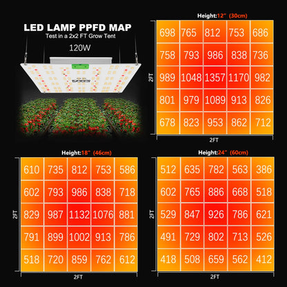 YXO 65W 120W Full Spectrum LED Grow Light LM301H EVO Full Spectrum Phyto Lamp For Hydroponic Plant Growth Lighting VEG BLOOM