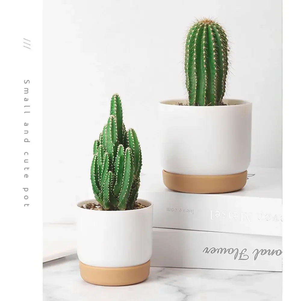 Small White Plastic Flower Dirt Pot for Plants | Hydro ATL