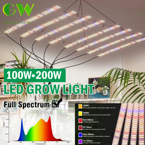 Led Grow Light Full Spectrum LM281B 100W 200W Growing Lamp with Dimmable Switch for Indoor Plants Greenhouse Seedling Hydroponic