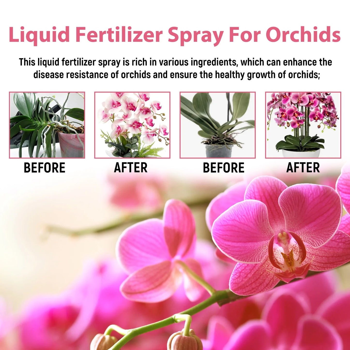 Orchid Fertilizer Spray Leaf Growth Nutrient
