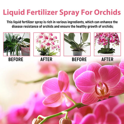 Orchid Fertilizer Spray Leaf Growth Nutrient
