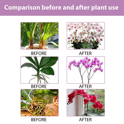 Orchid Fertilizer Spray Leaf Growth Nutrient