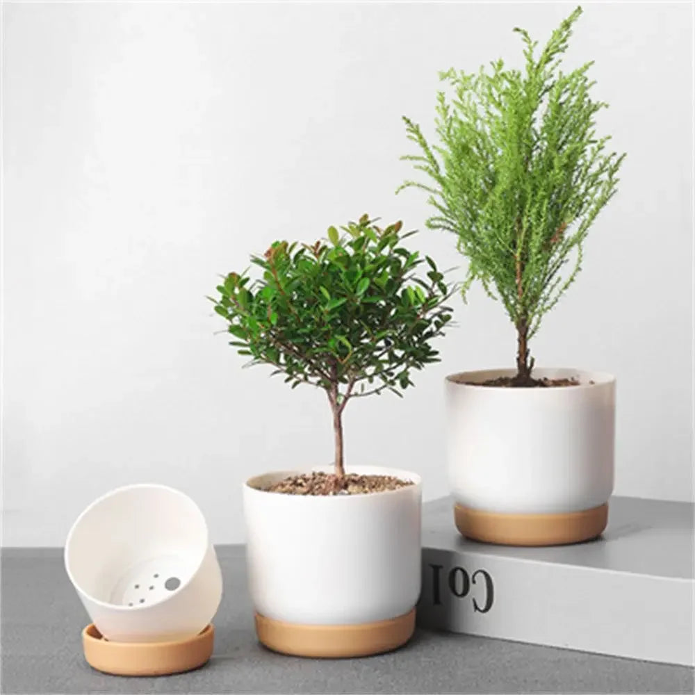 Small White Plastic Flower Dirt Pot for Plants | Hydro ATL