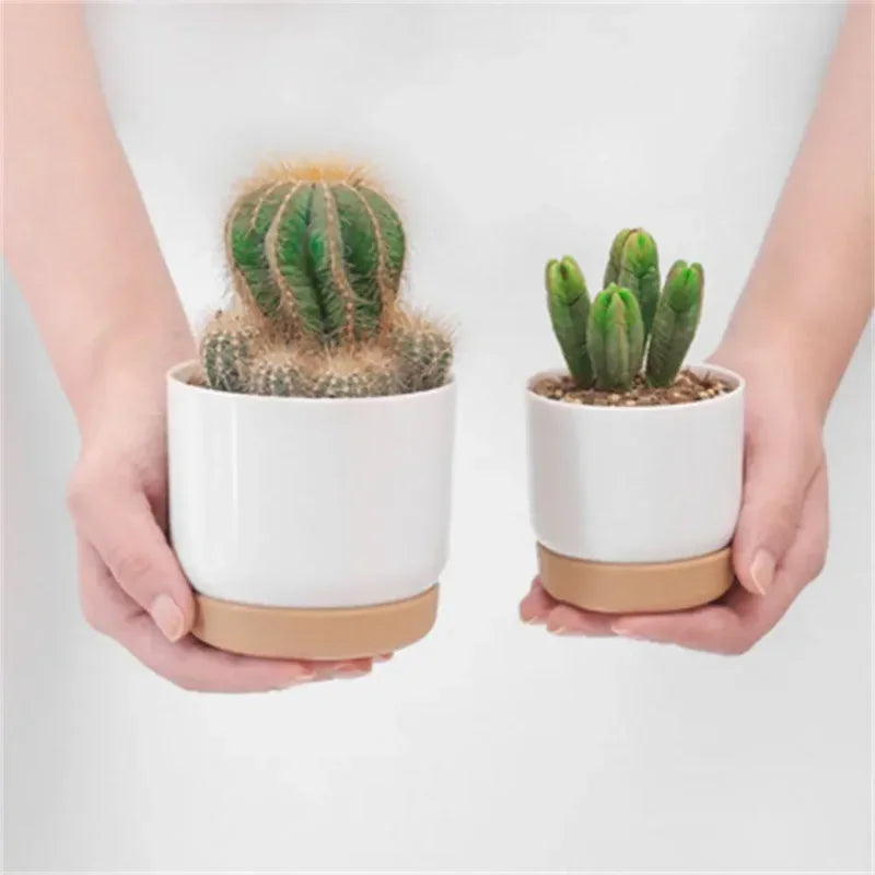Small White Plastic Flower Dirt Pot for Plants | Hydro ATL