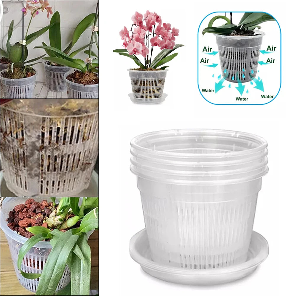 5pcs Orchid Dirt Pot With Saucers Plastic Drainage | Hydro ATL
