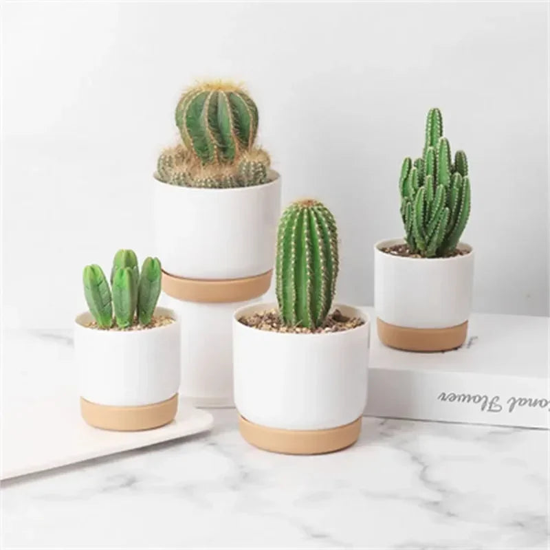 Small White Plastic Flower Dirt Pot for Plants | Hydro ATL