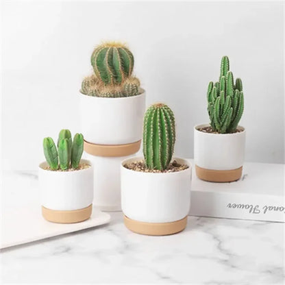 Small White Plastic Flower Dirt Pot for Plants | Hydro ATL