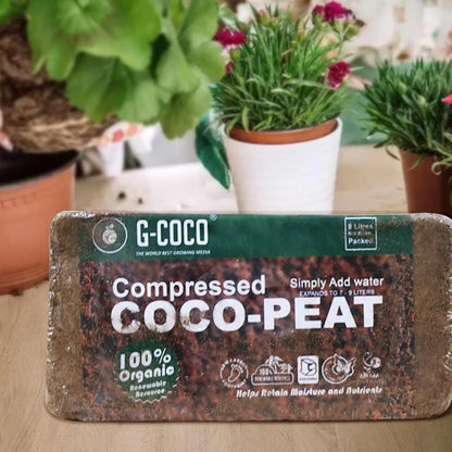 Coco Peat Organic Coconut Fiber Substrate Low EC & pH | Hydro ATL