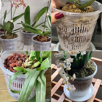 5pcs Orchid Dirt Pot With Saucers Plastic Drainage | Hydro ATL