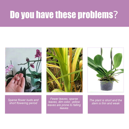 Orchid Fertilizer Spray Leaf Growth Nutrient