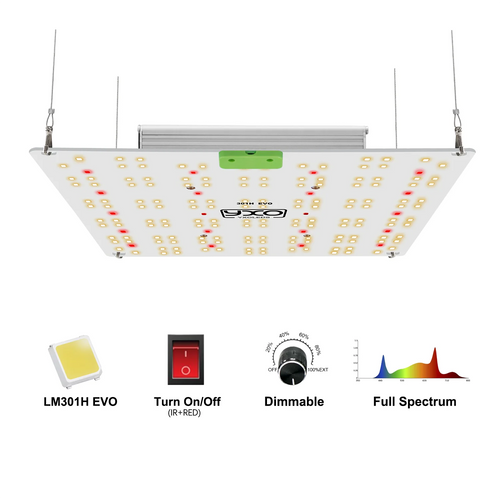 YXO 65W 120W Full Spectrum LED Grow Light LM301H EVO Full Spectrum Phyto Lamp For Hydroponic Plant Growth Lighting VEG BLOOM