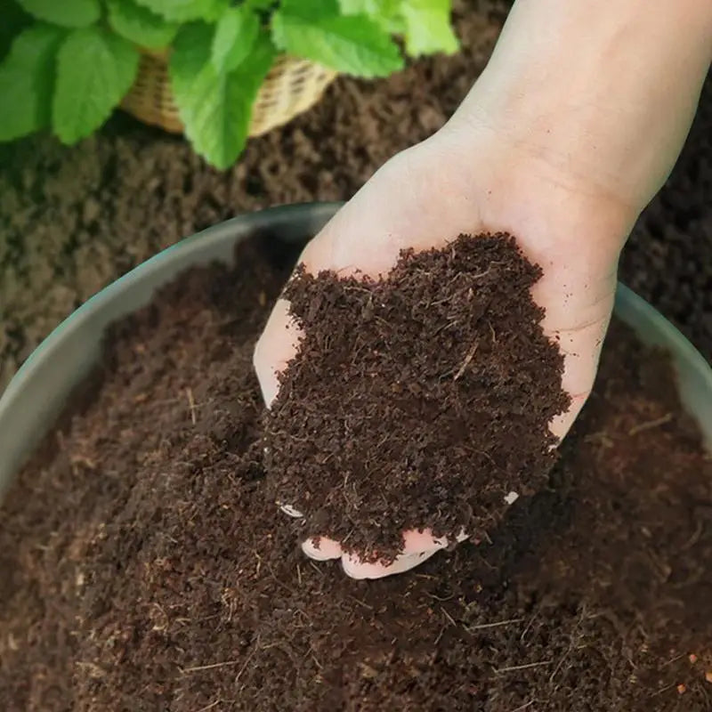 Coco Peat Organic Coconut Fiber Substrate Low EC & pH | Hydro ATL