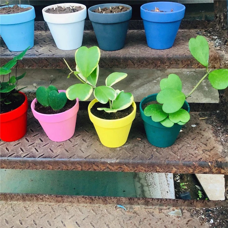 Multi Size Colorful Mini Terracotta Dirt Pot Set | Hydro ATL